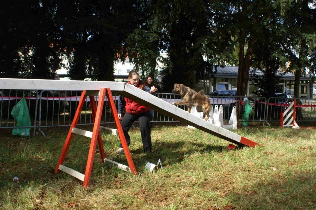 foire-haricots 2011-09-17et18